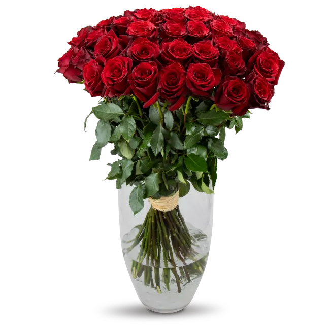 bouquet of Ecuadorian roses 80cm